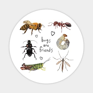 Bugs are Friends Magnet